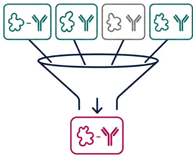 Tumor-selective antibody screening funnel