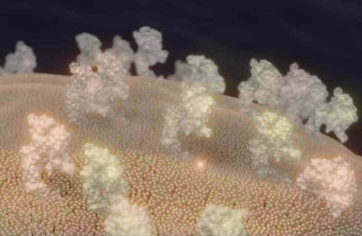 Illustration of masked epitopes on a healthy cell surface